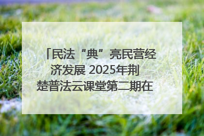 民法“典”亮民营经济发展 2025年荆楚普法云课堂第二期在武汉客厅开讲